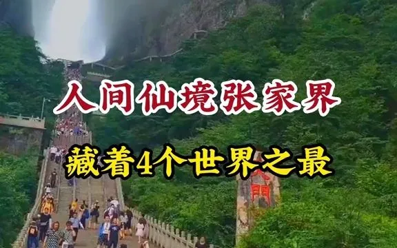 想到张家界旅游(去张家界旅游的感受)
