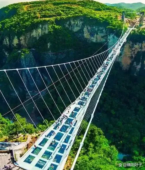 旅游张家界旅游(旅游张家界旅游攻略)