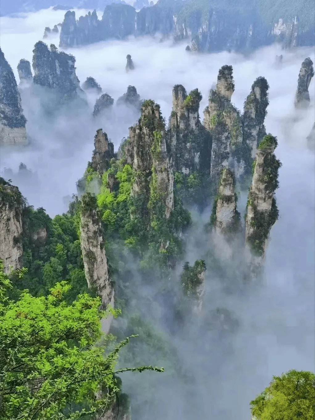 张家界天门山十一月旅游攻略(张家界天门山几月份去最好看了)