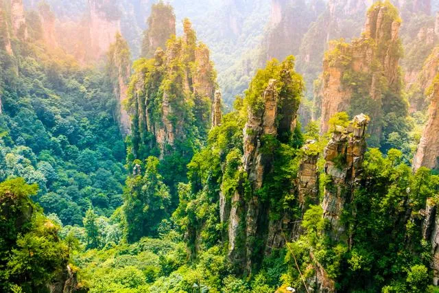 去张家界必玩的几个地方推荐(去张家界必玩的几个地方推荐一下)