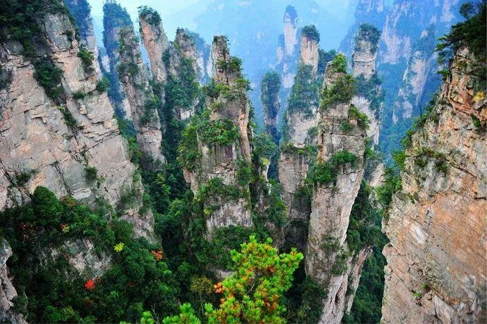 出发张家界旅游(出发张家界旅游路线)