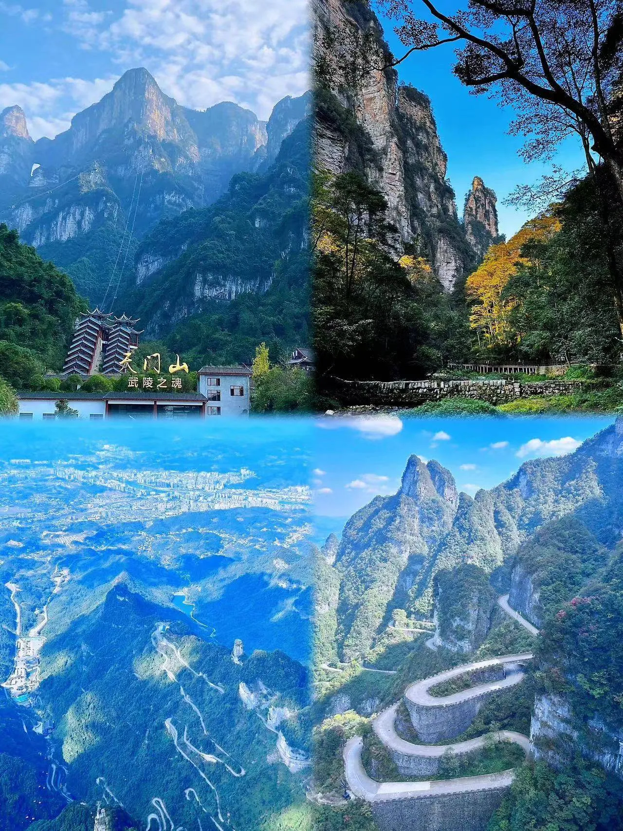 去湖南张家界旅游攻略自助游(想去湖南张家界旅游有什么必去的经典景点)
