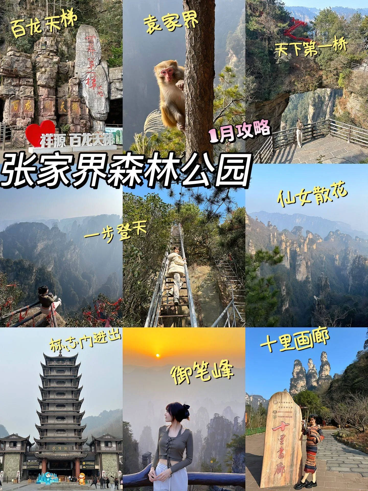 张家界旅游三日游线路(张家界旅游三日游攻略详细)
