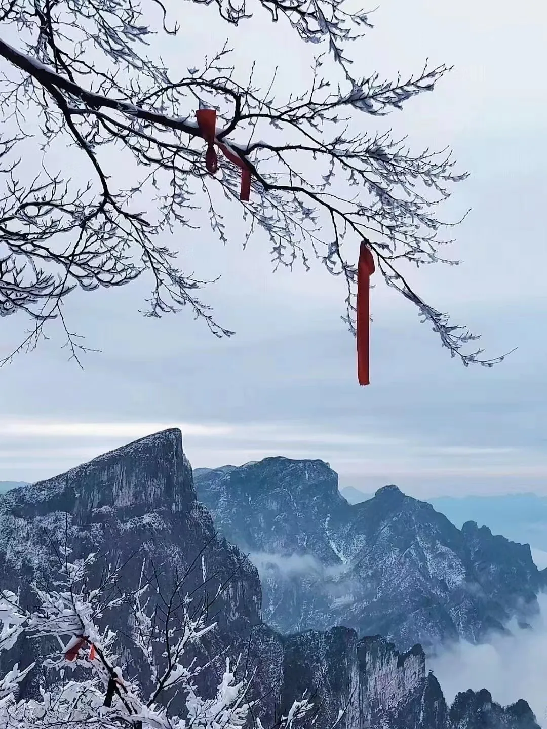 张家界天门山一日游攻略张家界旅(张家界天门山一日游攻略张家界旅游攻略) 张家界天门山一日游攻略张家界旅(张家界天门山一日游攻略张家界旅游攻略)