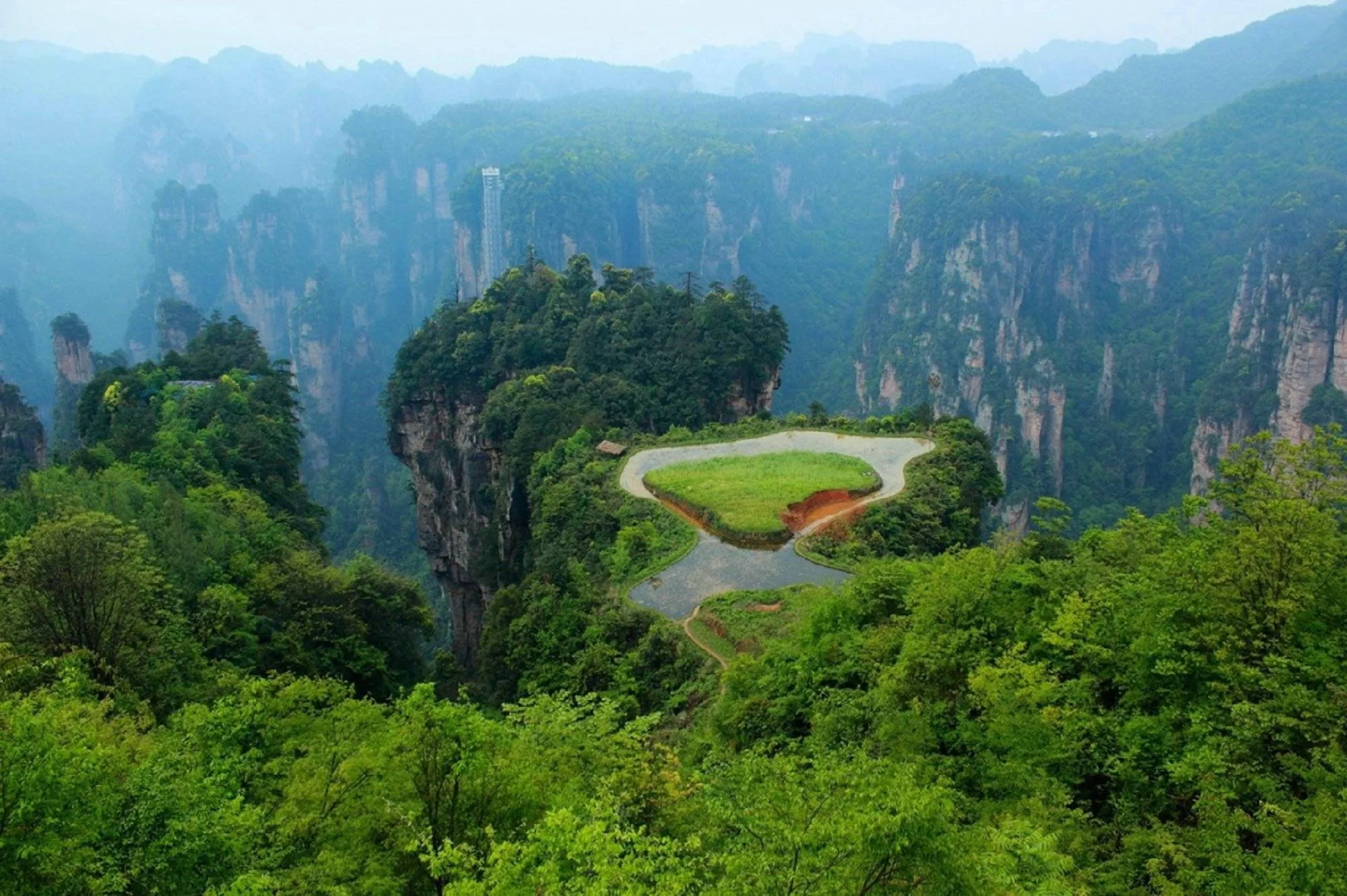 张家界旅游2019(张家界旅游2023年收入)