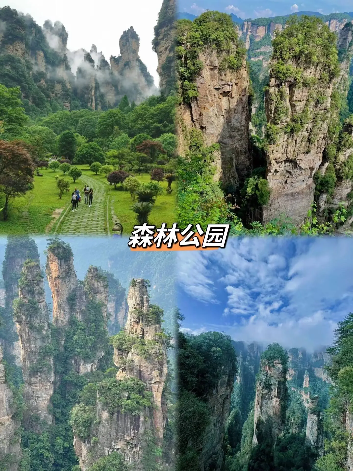 张家界旅游需要多少钱合适(张家界旅游自由行需要多少钱)
