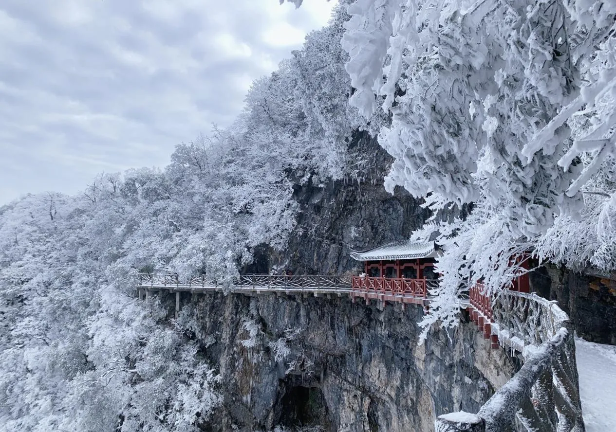 张家界冬天适合旅游吗(张家界冬天去还是夏天去)