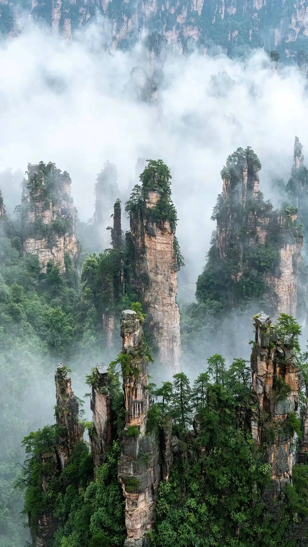 张家界的旅游景点大全(张家界旅游景点大全图片)