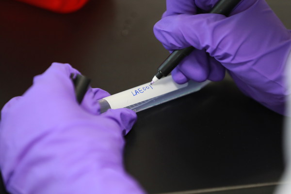 LAE001是全球首个 CYP17A和CYP11B2双靶点抑制剂，是一种新型非甾体类、可逆、双靶点、强效抑制剂。来凯医药正加速LAE001单药临床研究，希望惠及早期前列腺癌患者。由于它无需和泼尼松合用，或可避免在现有阿比特龙治疗标准中对泼尼松的依赖及其引发的副作用，有望提高患者的生存质量。